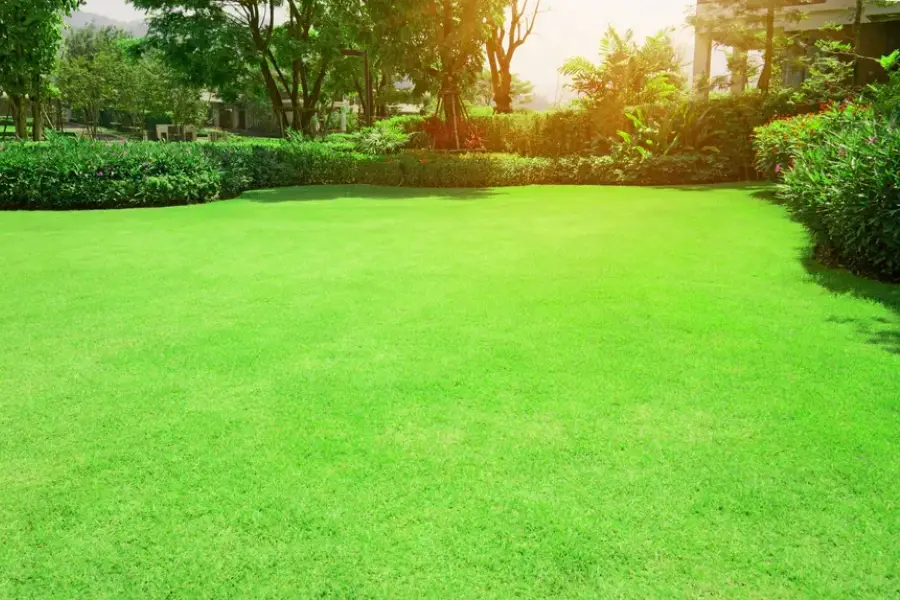 How To Maintain A Landscape That Resists Pests And Weeds Orange, CA How To Maintain A Landscape That Resists Pests And Weeds Orange, CA