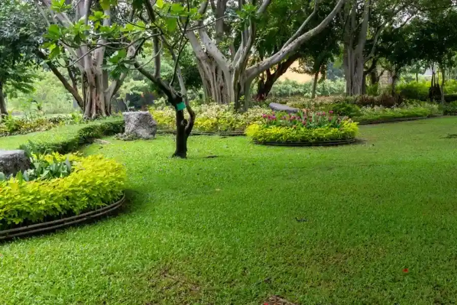 Premium Landscape Maintenance Orange, CA Premium Landscape Maintenance Orange, CA