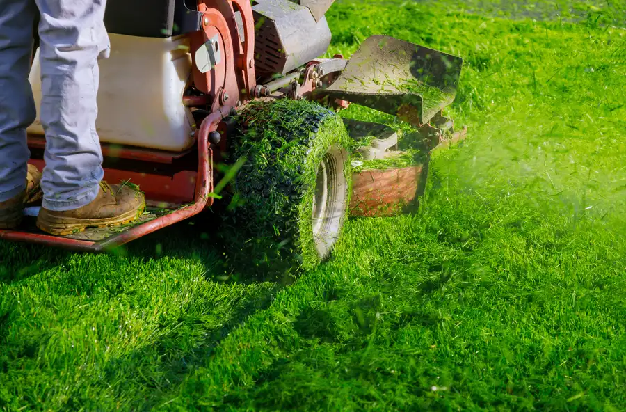 Quality Lawn Mowing Orange, CA Quality Lawn Mowing Orange, CA