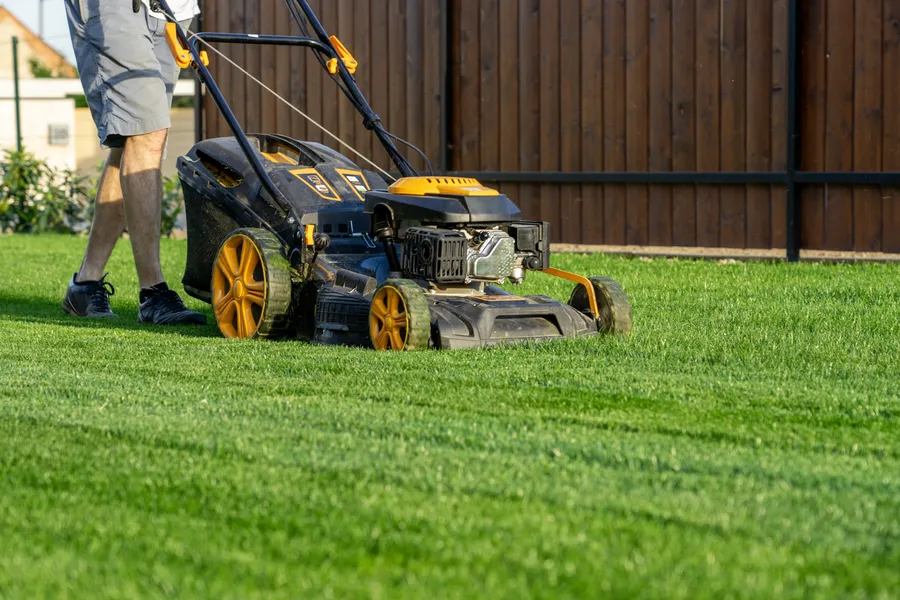 Understanding The Ideal Frequency For Lawn Mowing Orange, CA Understanding The Ideal Frequency For Lawn Mowing Orange, CA