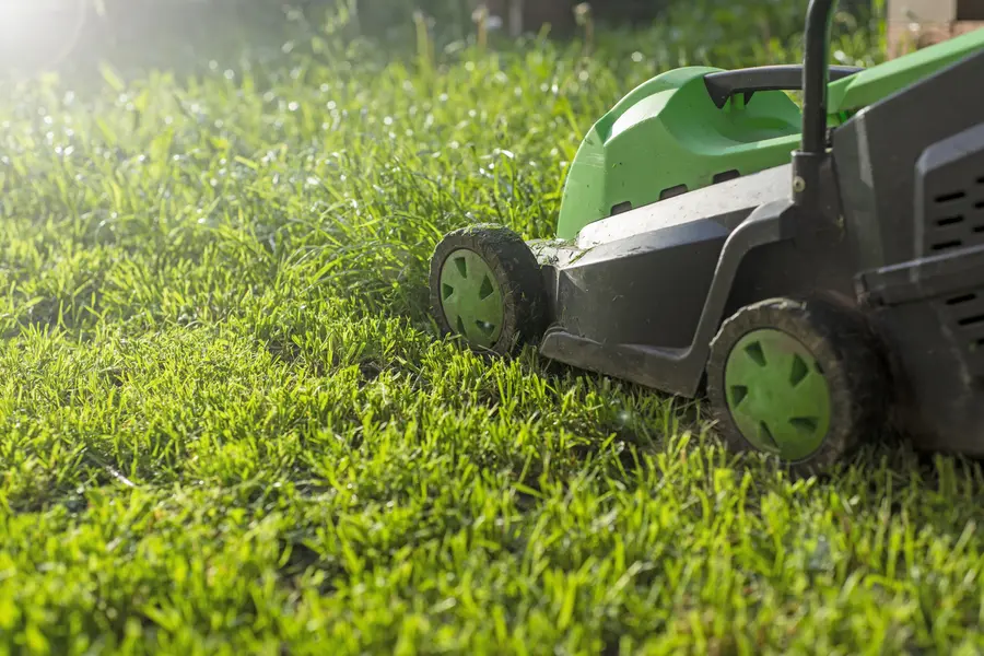Understanding The Ideal Frequency For Lawn Mowing in Orange CA Understanding The Ideal Frequency For Lawn Mowing in Orange CA